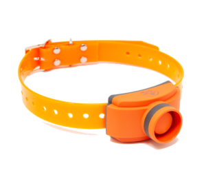 Canicom collare localizzatore Beeper TEK