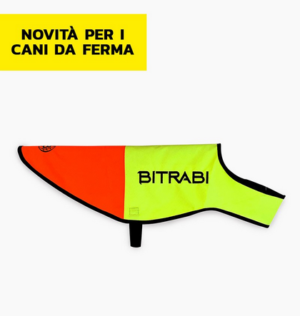 Bitrabi mantellina securdog per cani da ferma arancio