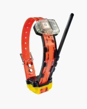Bitrabi Radio collare da caccia 5100 GPS + RADIO